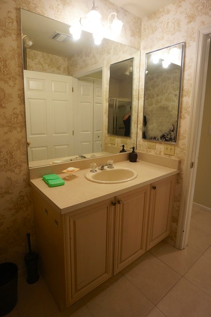 Plainview Guest Bath Update transitional