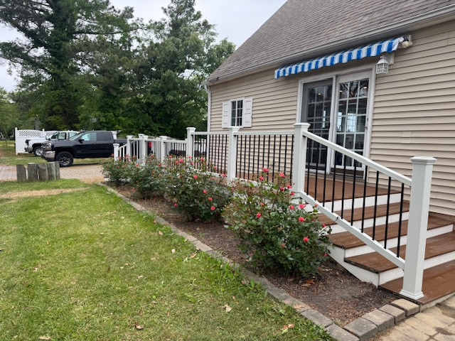 Deck Rebuild