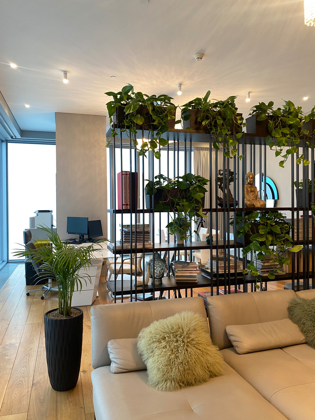 Озеленение гостиной