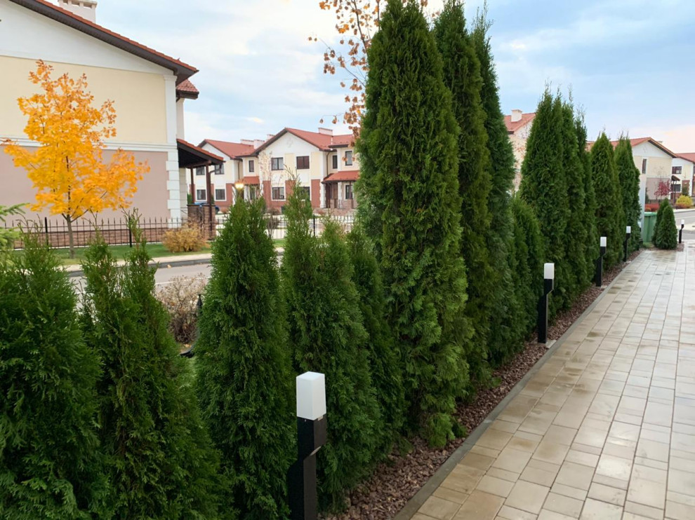 Ландшафтный дизайн в поселке "Жуковка"