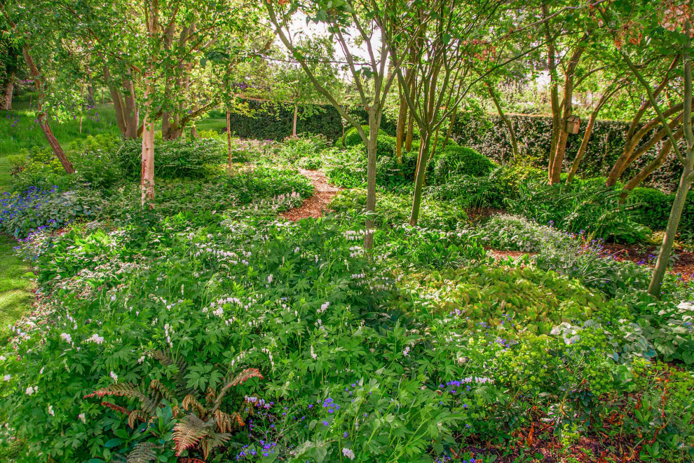 Landhausstil Garten in Essex