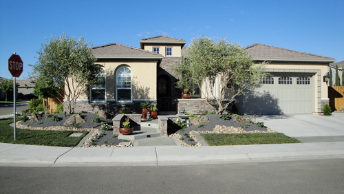 New front yard New front yard