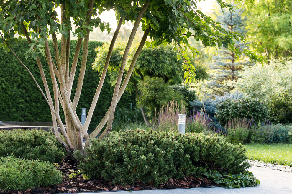 Фотосъёмка сада (к/п Светлогорье)