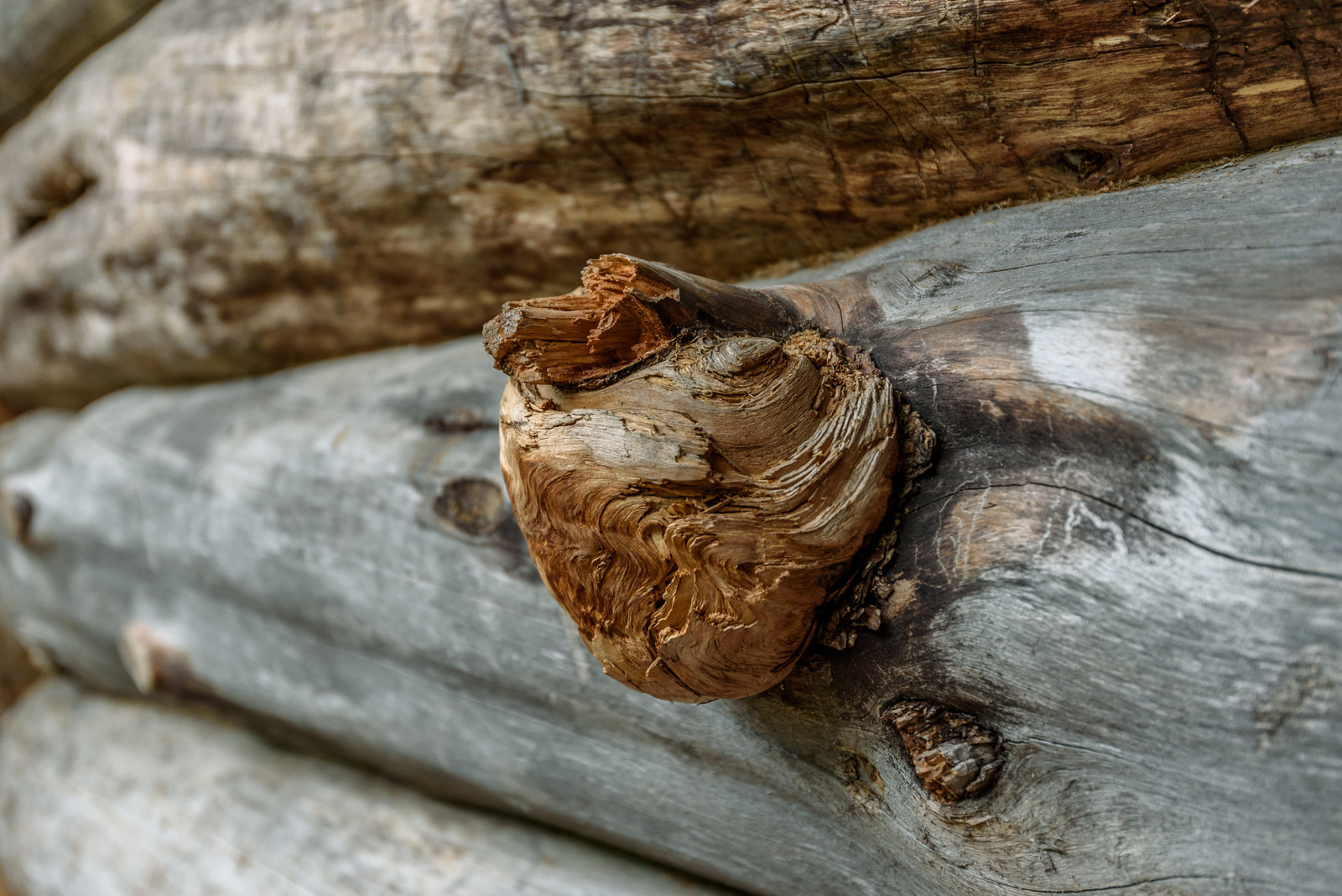 Баня в Ильинском