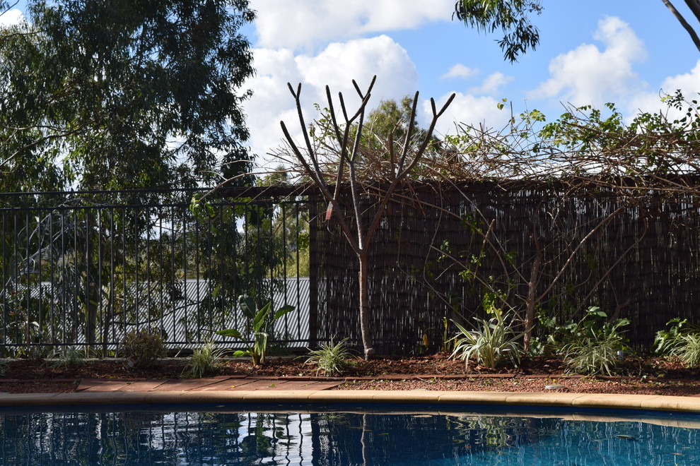 Design ideas for a tropical garden in Perth.