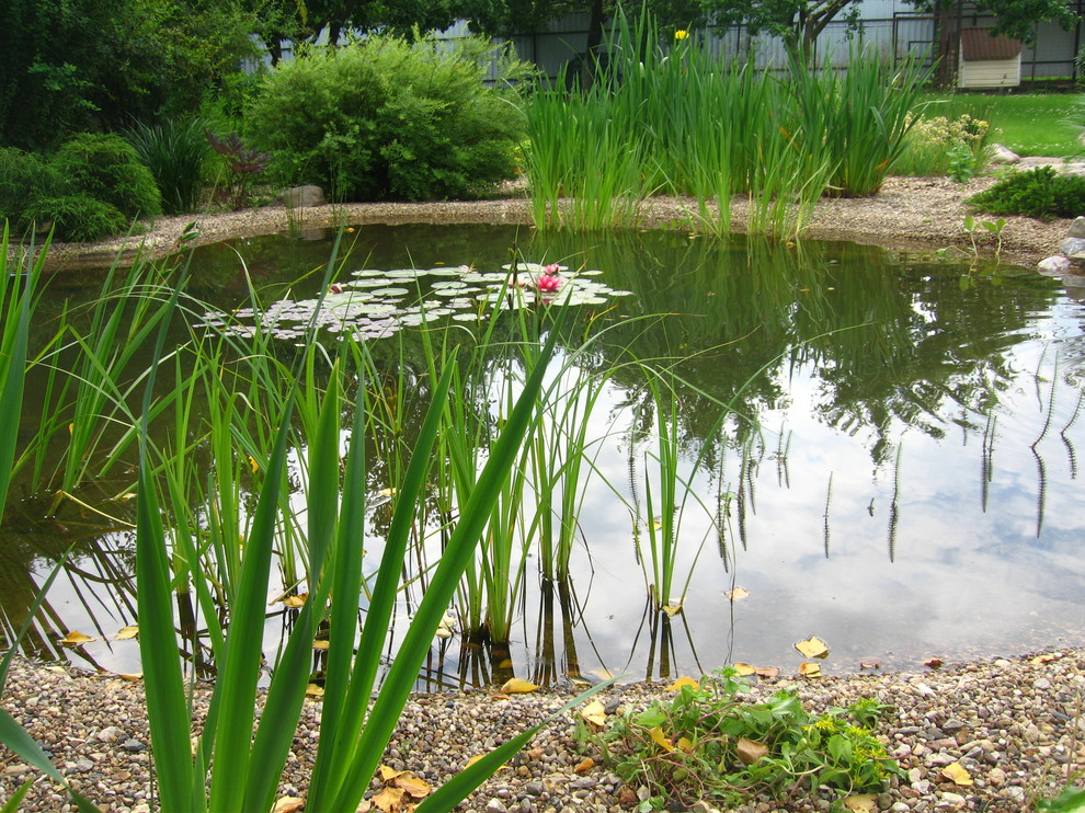 В тиши дома моего