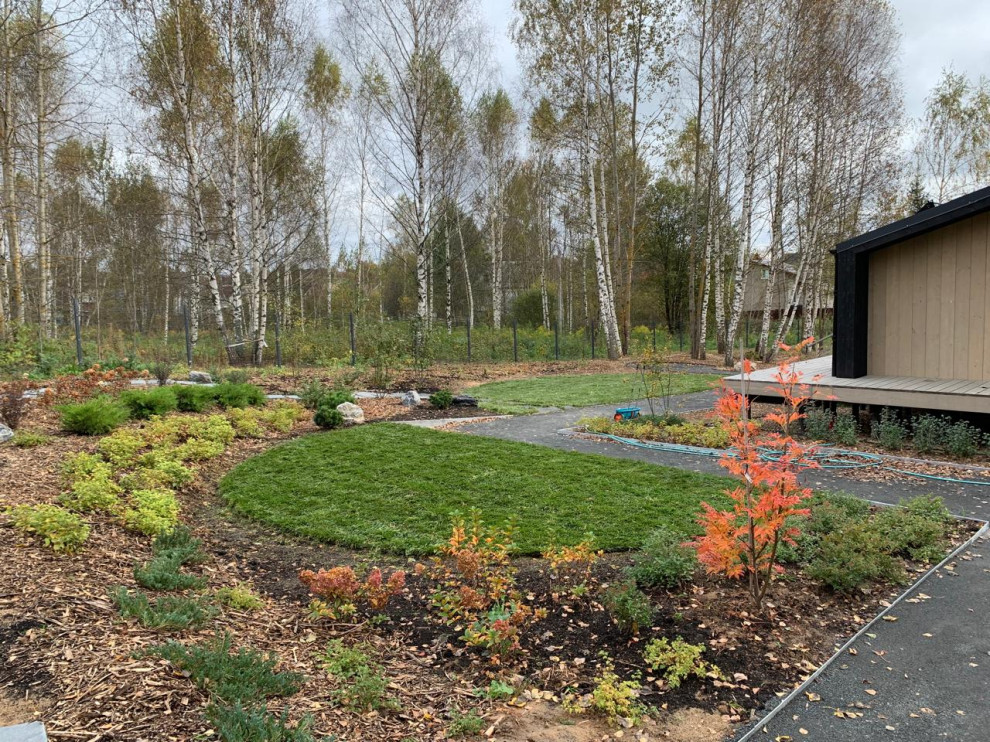 Проект " В тонких линиях "