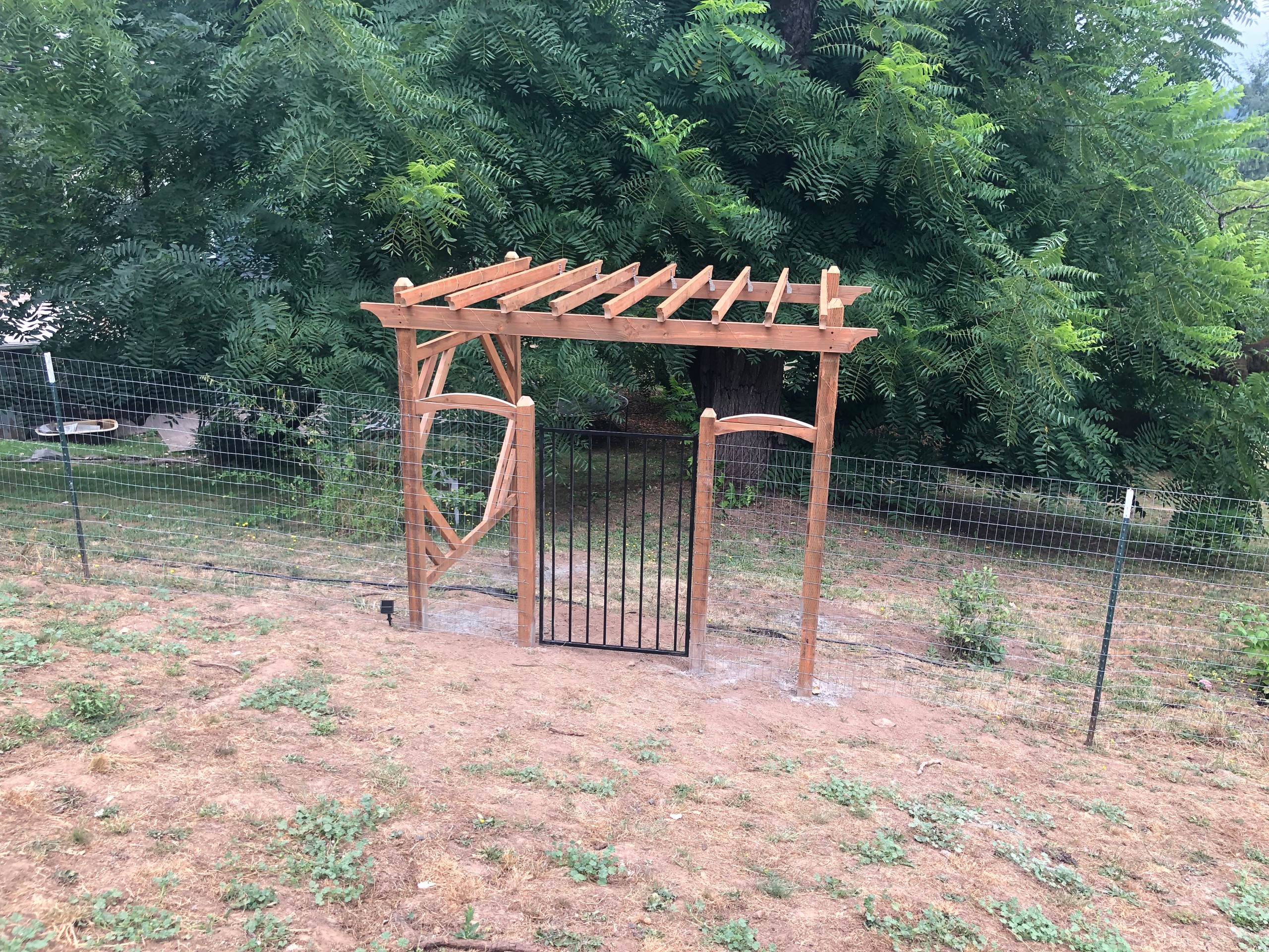 Grape Arbor