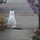 jessica_kovach1869057