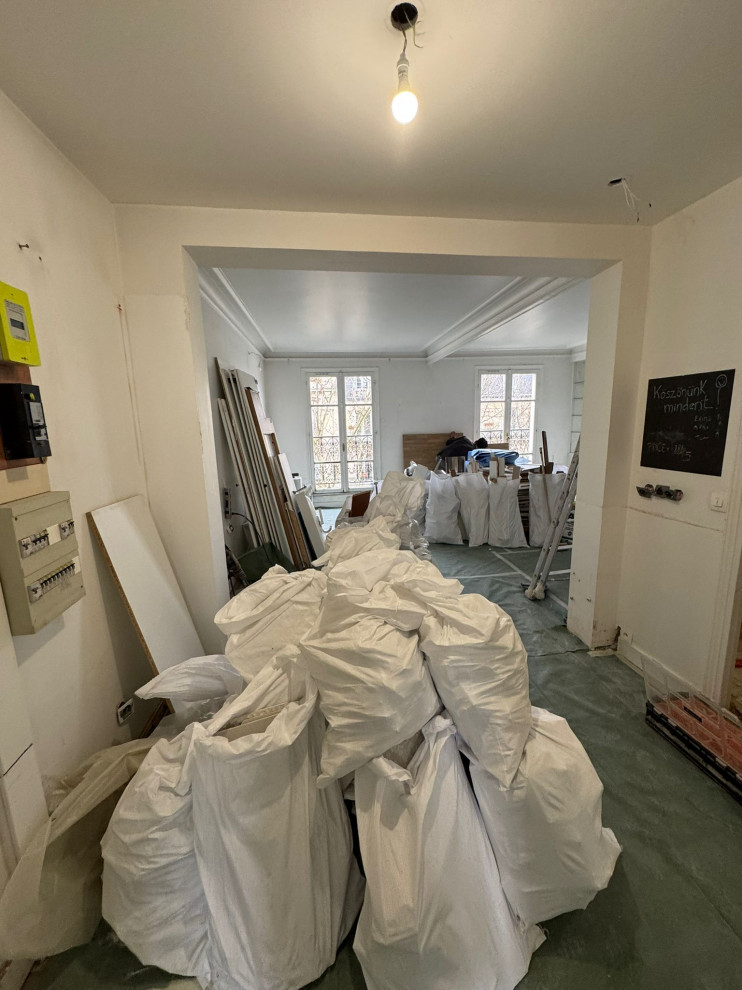 Projet Buttes Chaumont, rénovation d'un appartement de 60m2