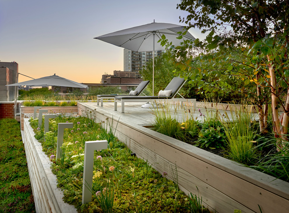 Inspiration for an expansive contemporary rooftop deck in Chicago with a container garden and a pergola.