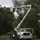 Rockwood Landscaping and Tree Service