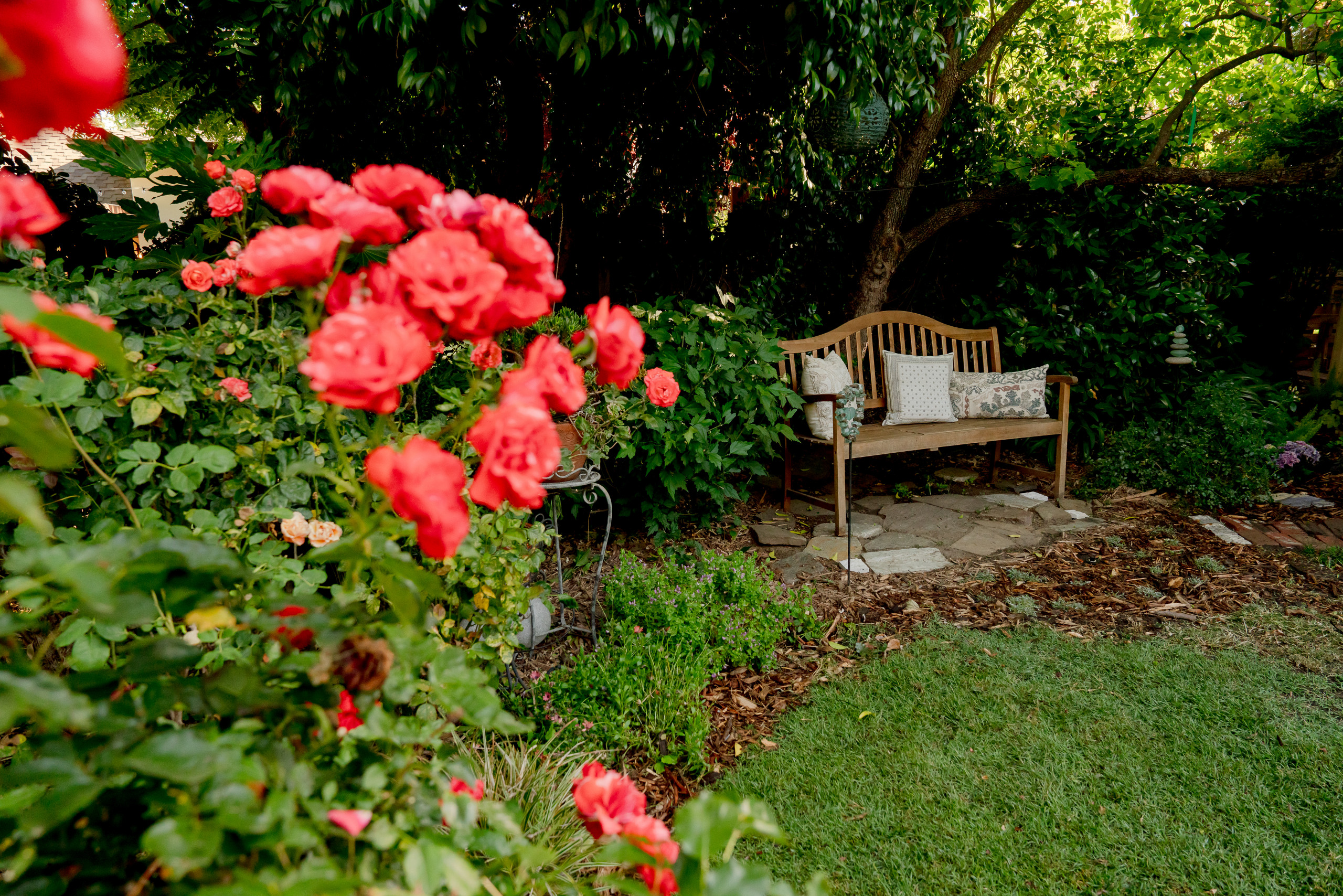 Cozy Bench Beneath the Dogwood with Layered Plantings