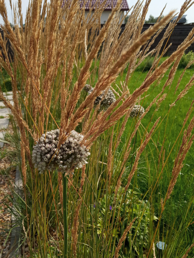 Зелёная комната