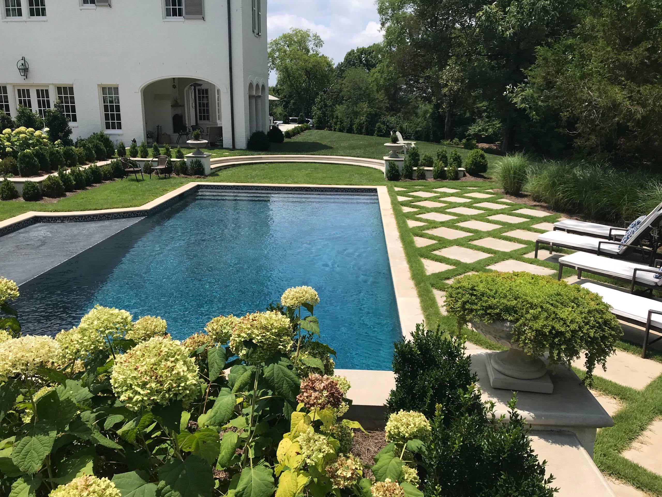 Transitional Garden Pool