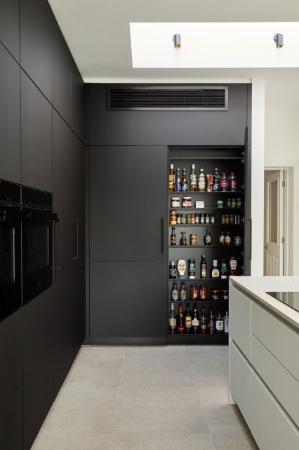 Modern Monochrome Kitchen Beckenham modern-kitchen