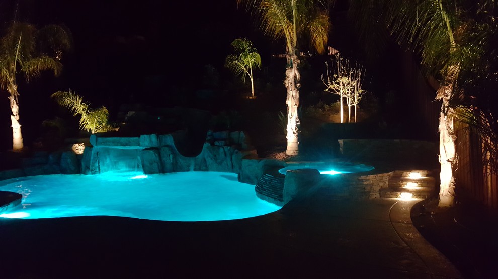 Photo of a mid-sized tropical backyard kidney-shaped pool in San Diego with natural stone pavers.