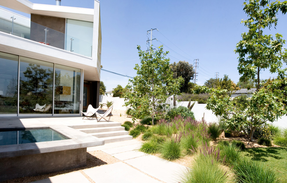 Design ideas for a contemporary garden in Los Angeles.