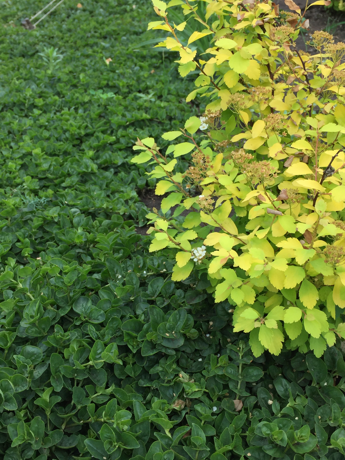 Наши работы