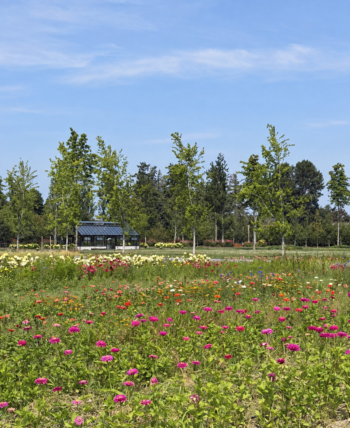 Athiana Acres:  An organic Regenerative Farm