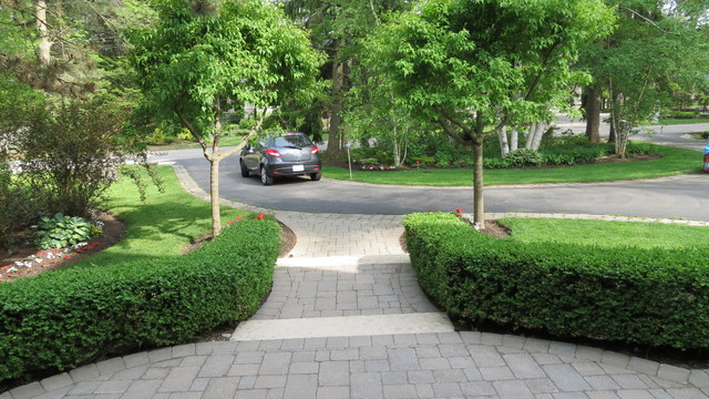 Formal Hedges Semi Circle Driveway Traditional Landscape