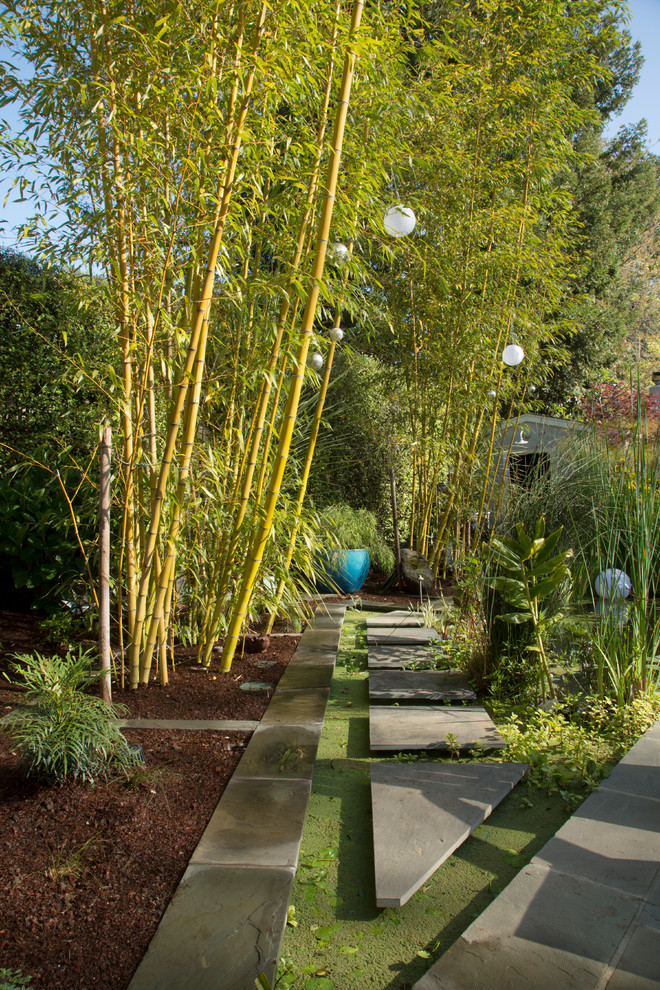 Inspiration for a tropical landscaping in San Francisco.