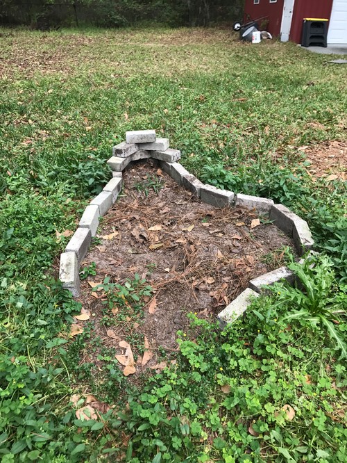 can cat urine somehow kill a plants roots?