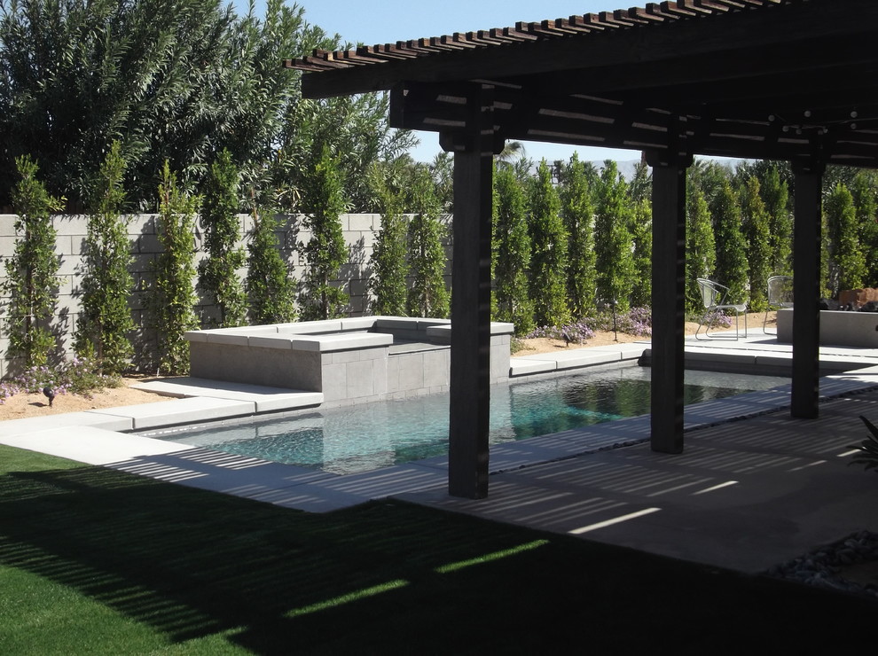 This is an example of a small contemporary backyard rectangular pool in Other with concrete slab.