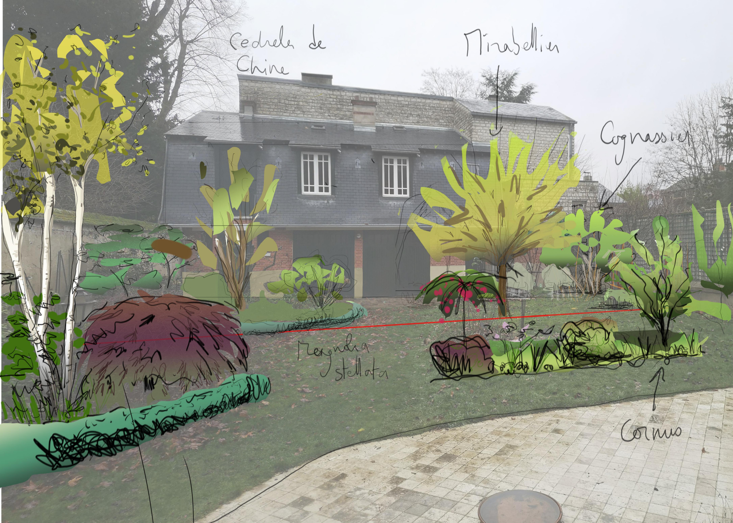 Projet - Croquis du jardin