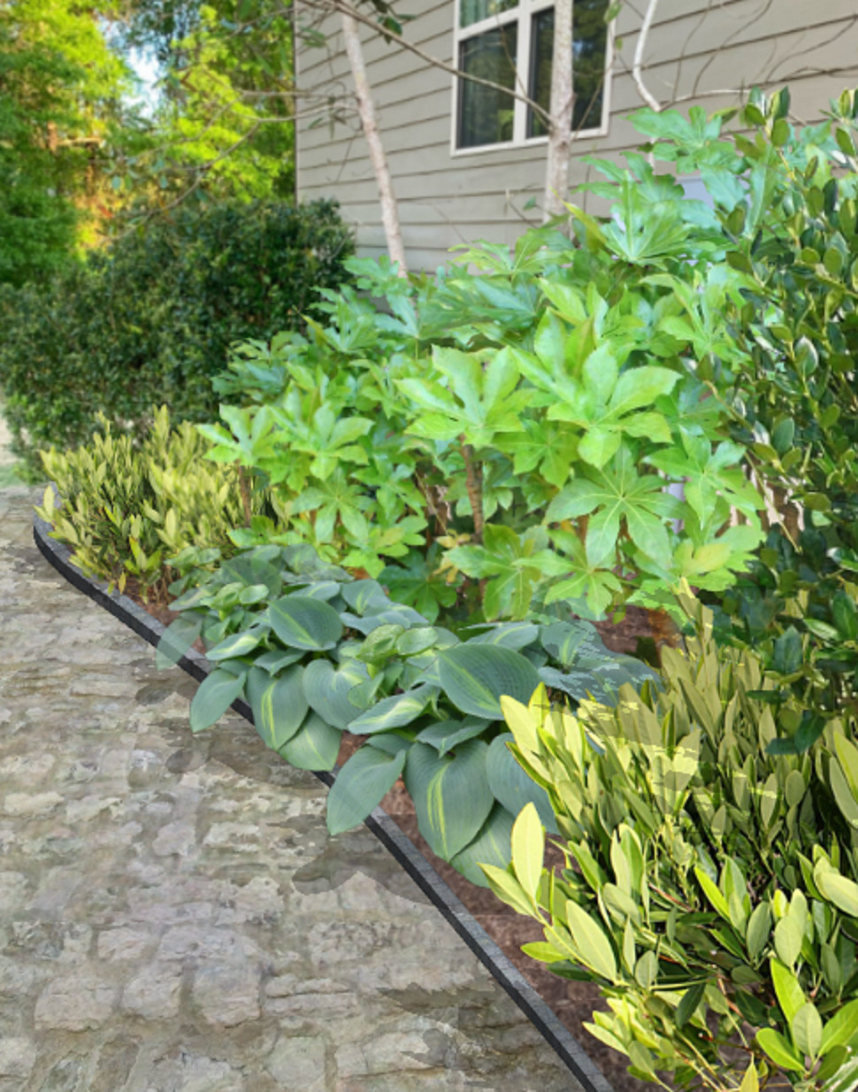 Foundation Plantings