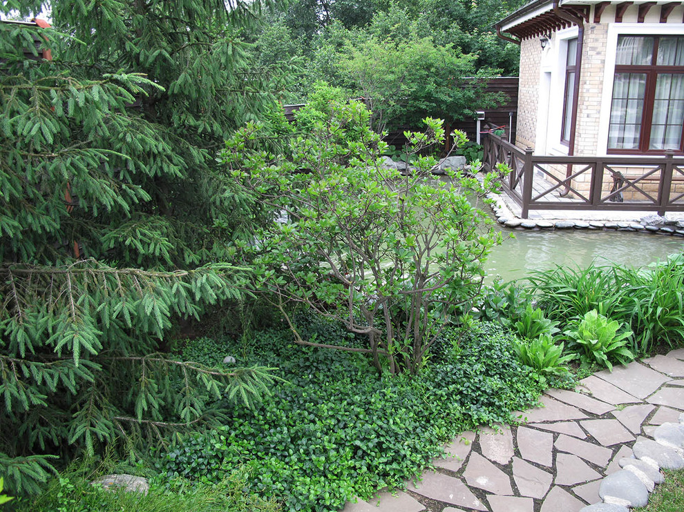 Сад с ручьем В Новогорске 2009 г