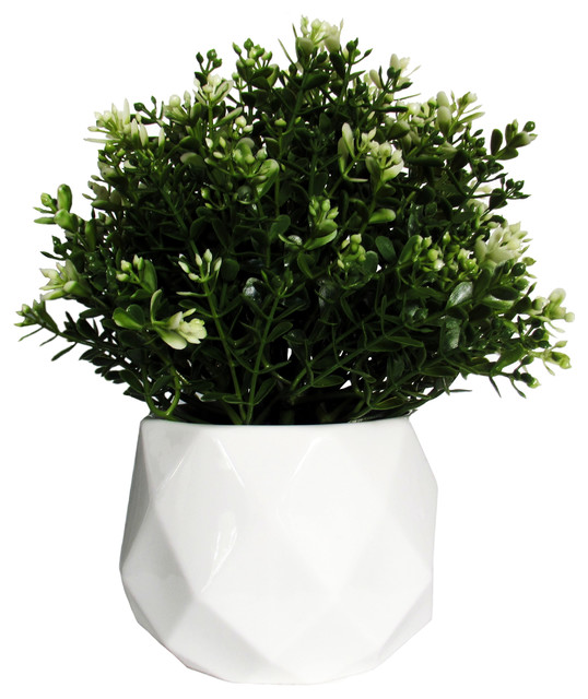 Modern Geometric Succulent Planter White Ceramic Contemporary Indoor Pots And Planters By Parva S - Modern Indoor Tree Planter Modern Geometric Succulent Planter White Ceramic Contemporary Indoor Pots And Planters By Parva S - Modern Indoor Tree Planter