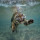 pasquale_deperte