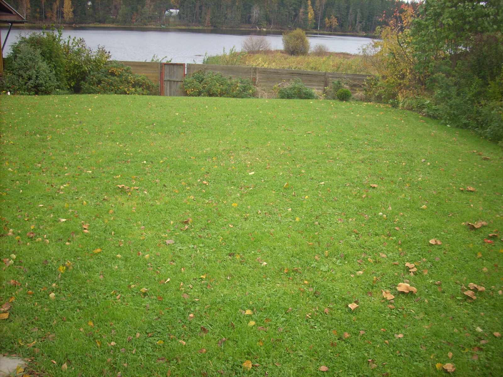 Правдино Ландшафт