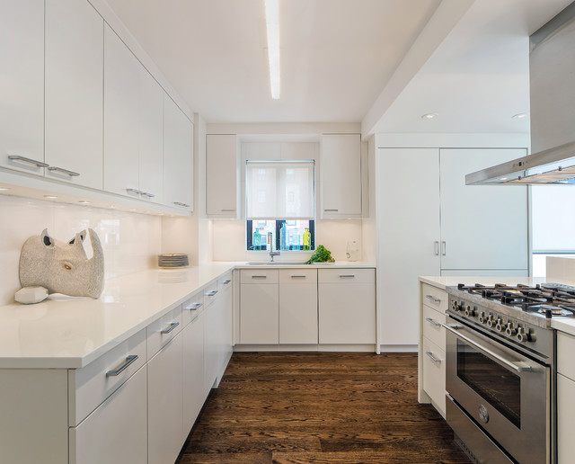 Park Avenue Penthouse contemporary-koek