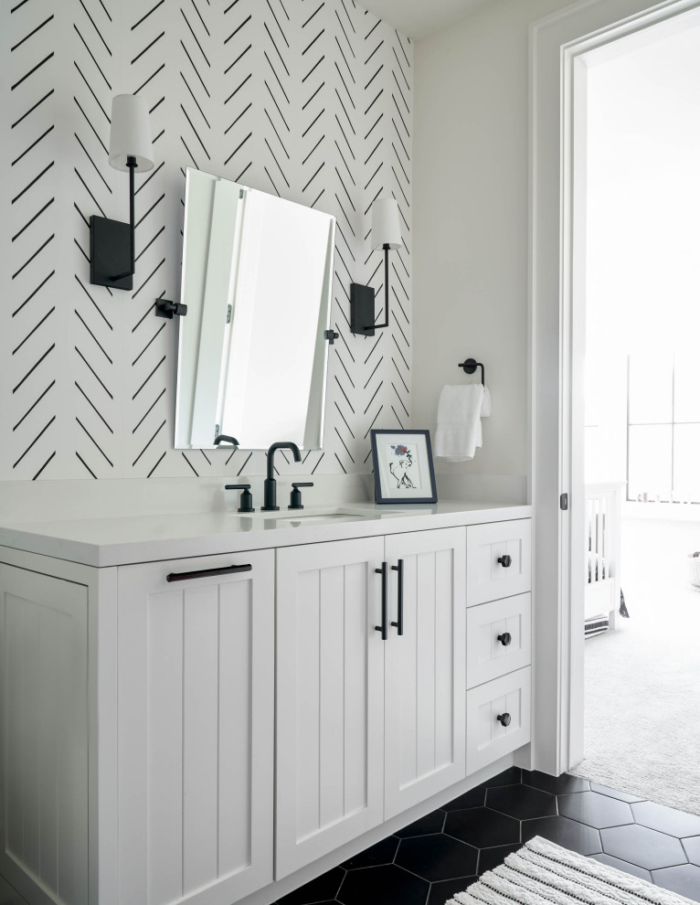 Transitional home design photo in Dallas