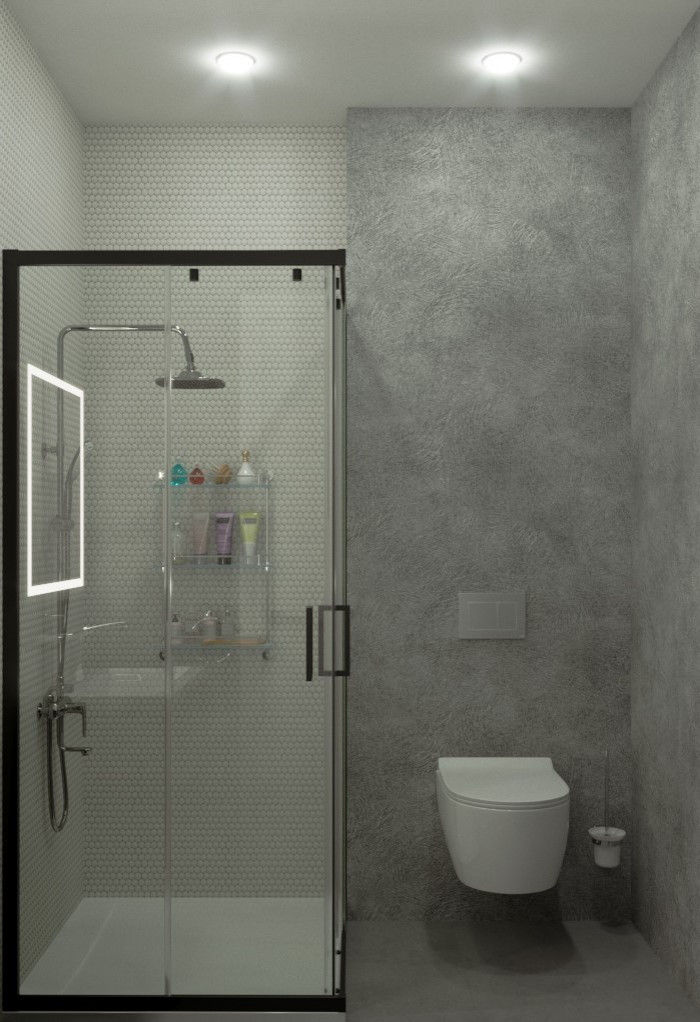 г. Сестрорецк