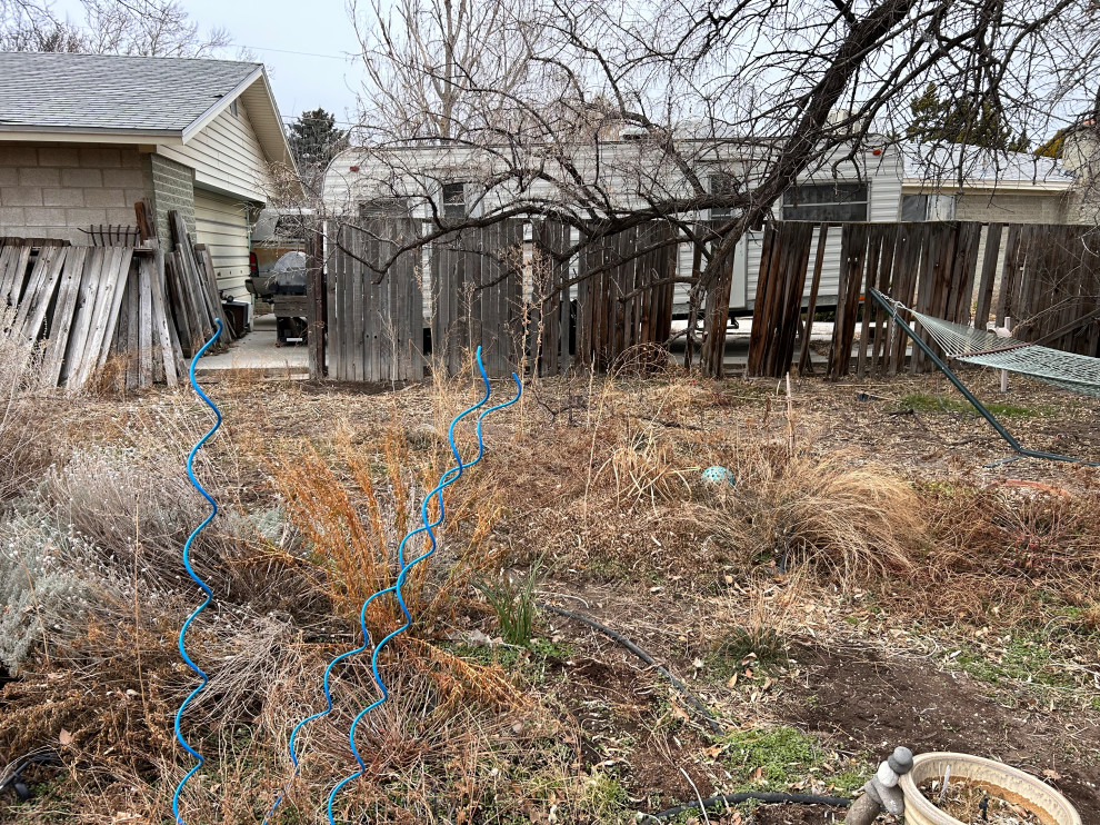 West Valley Landscape Renovation