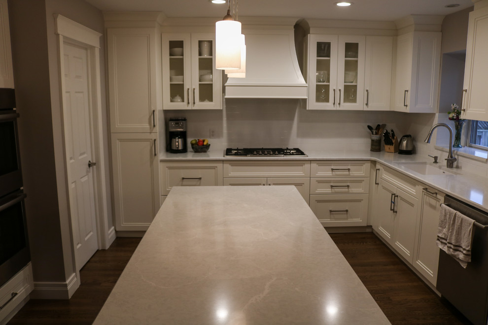 Kitchen - transitional kitchen idea in Toronto
