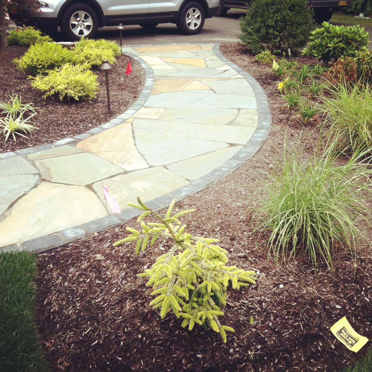 freeform natural bluestone walkway with landscpe