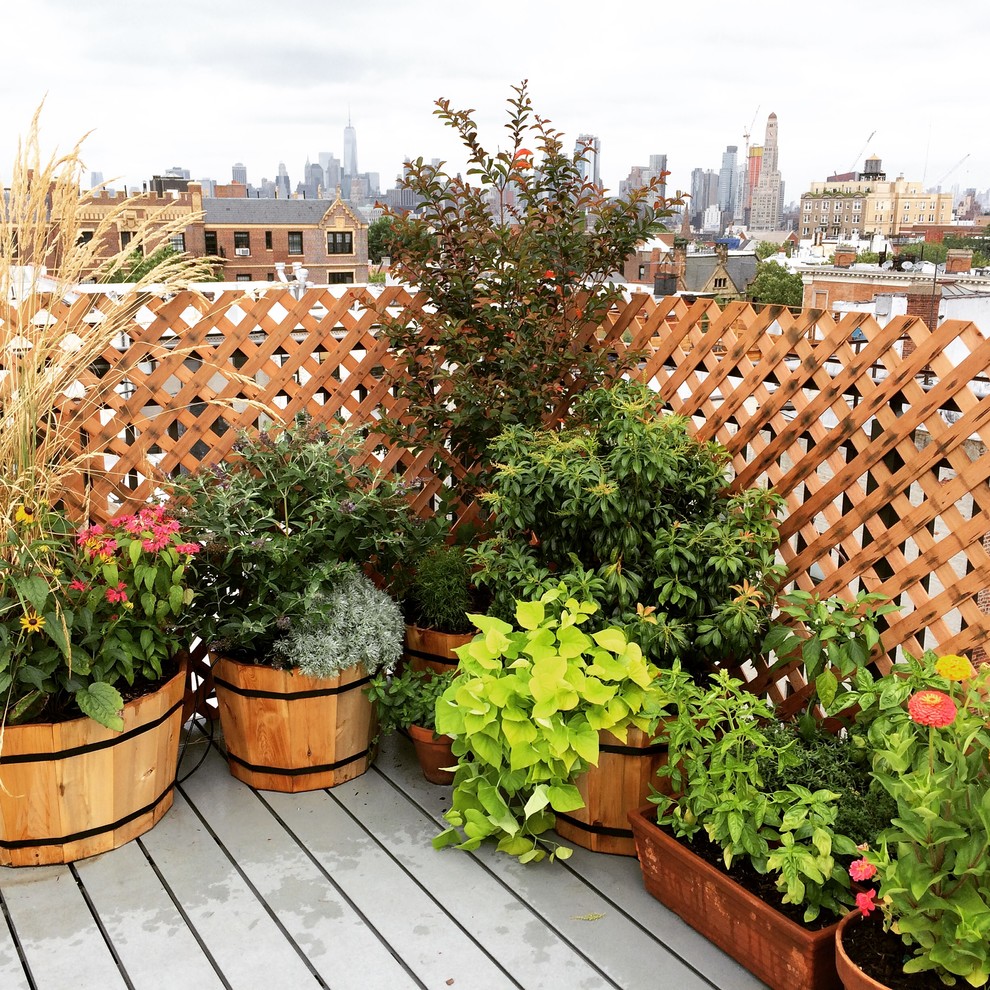 Photo of a mid-sized country rooftop full sun garden in New York with a container garden and decking.