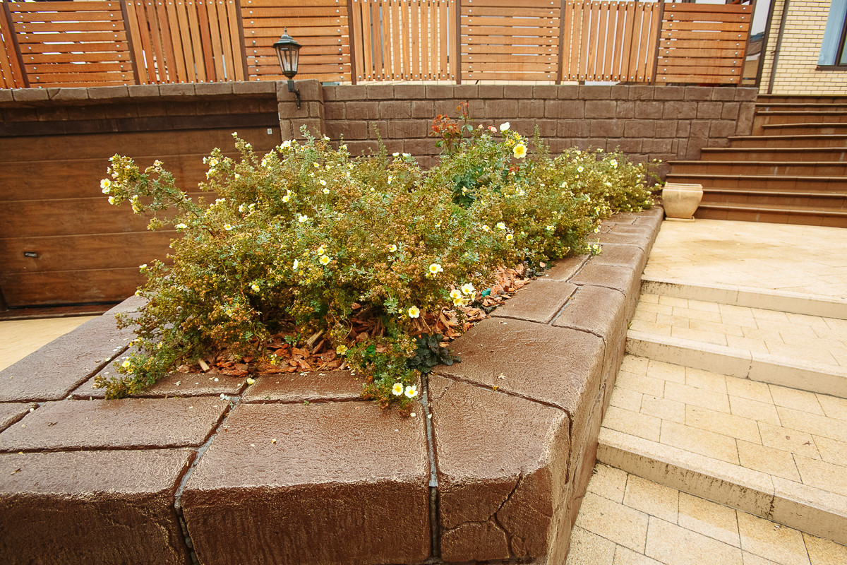 Сад с румянцем