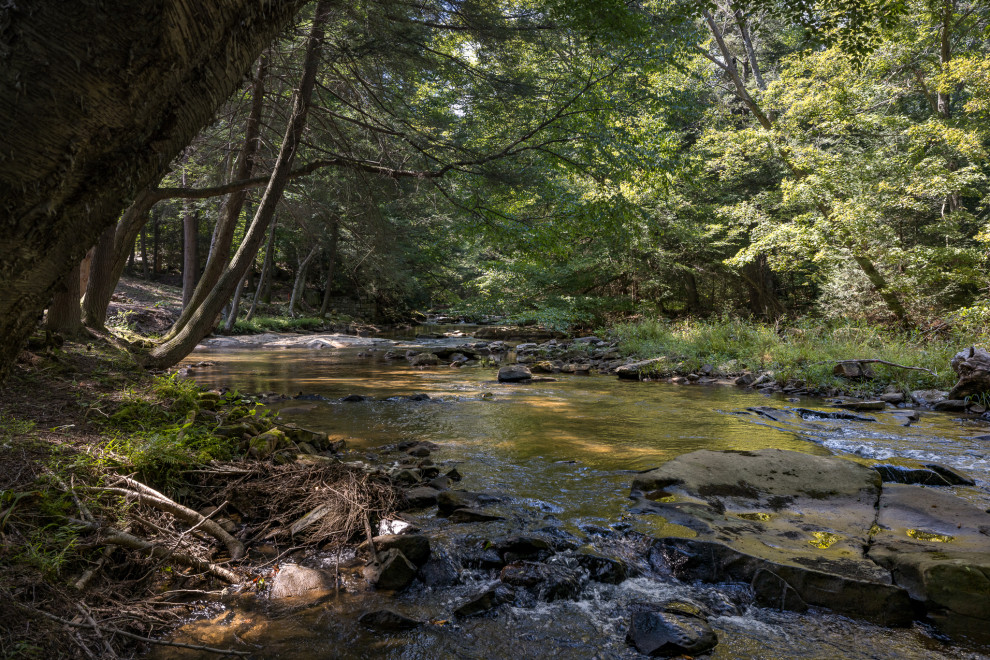 The Creek House