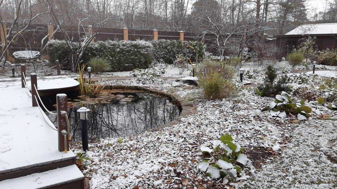 Белкин Сад. Предзимье 2019