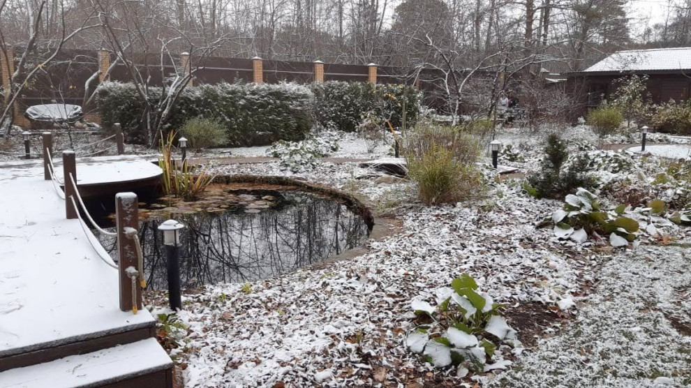 Белкин Сад. Предзимье 2019