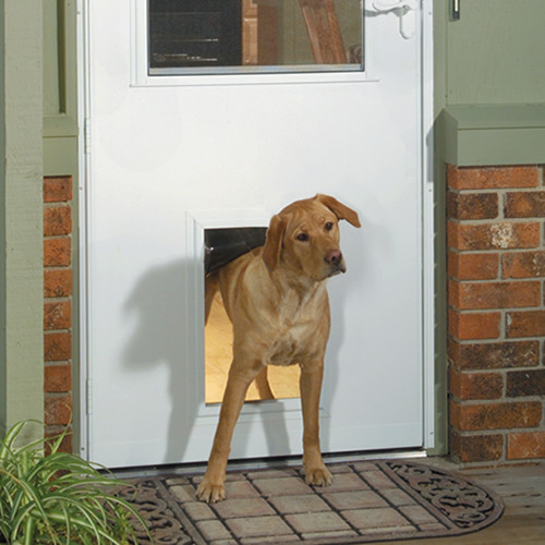 This is an example of a front door in Other with a single front door and a white front door.