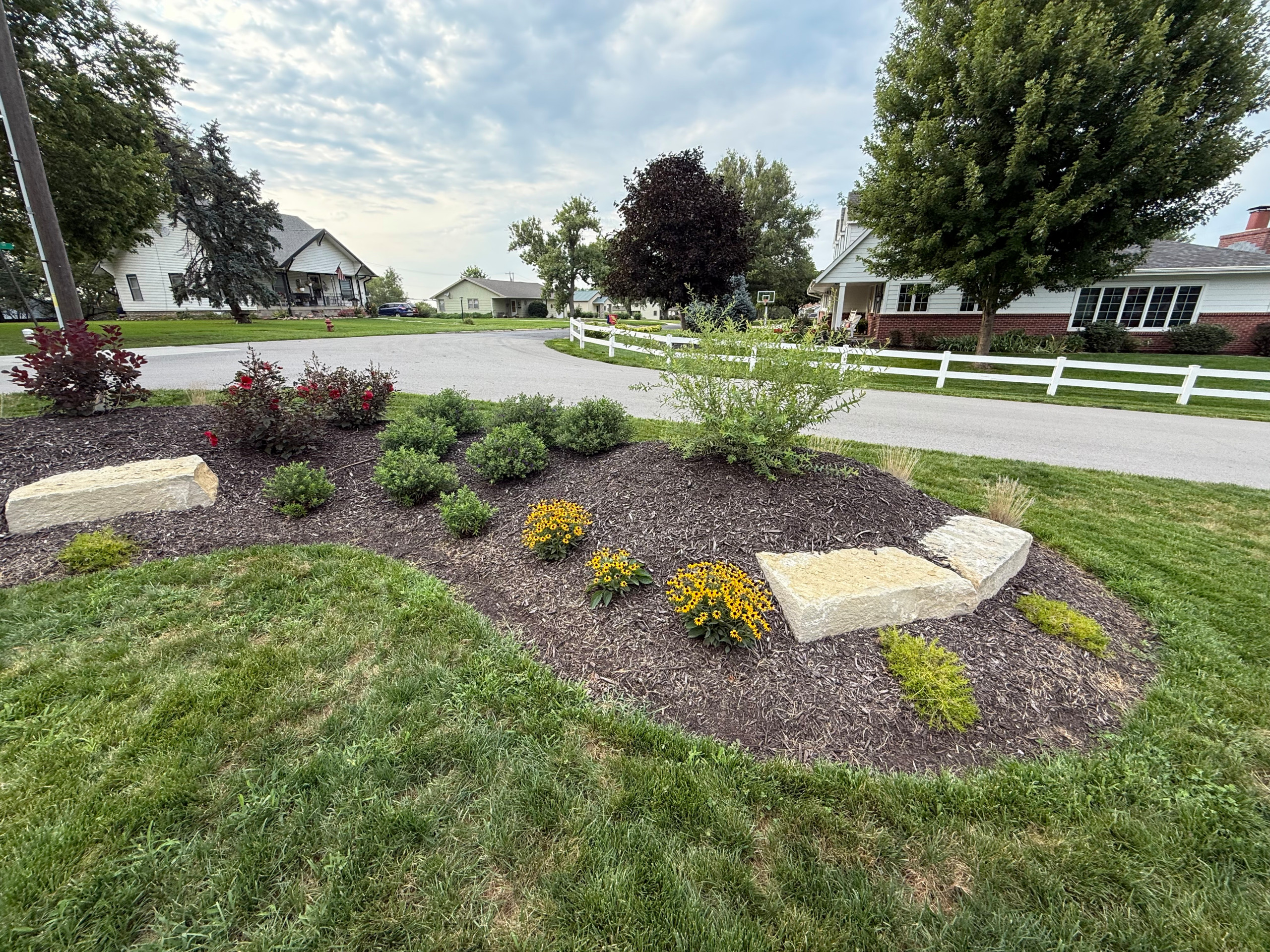 New Seeding & Berm