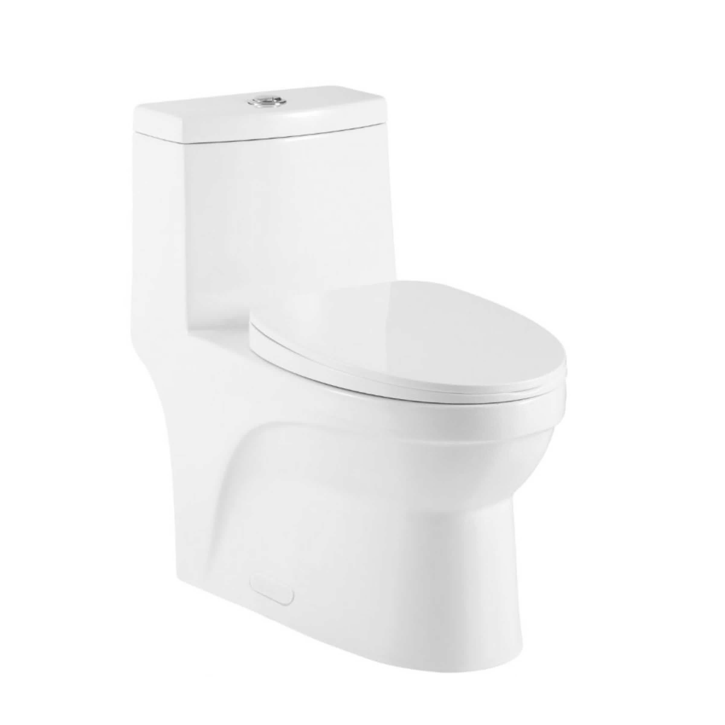 One Piece Oval Toilet With Soft Closing Seat, and Dual Flush (RA-T82221B)