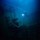 alan_helig