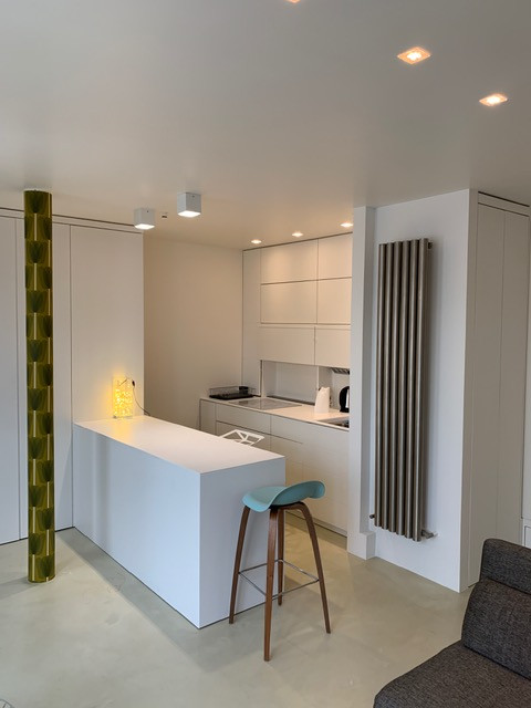 Rénovation d'un 50m² épuré